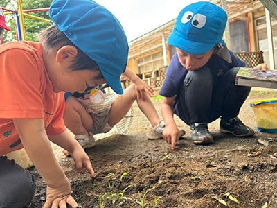 園児の様子