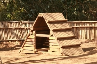 クライミングキャビン